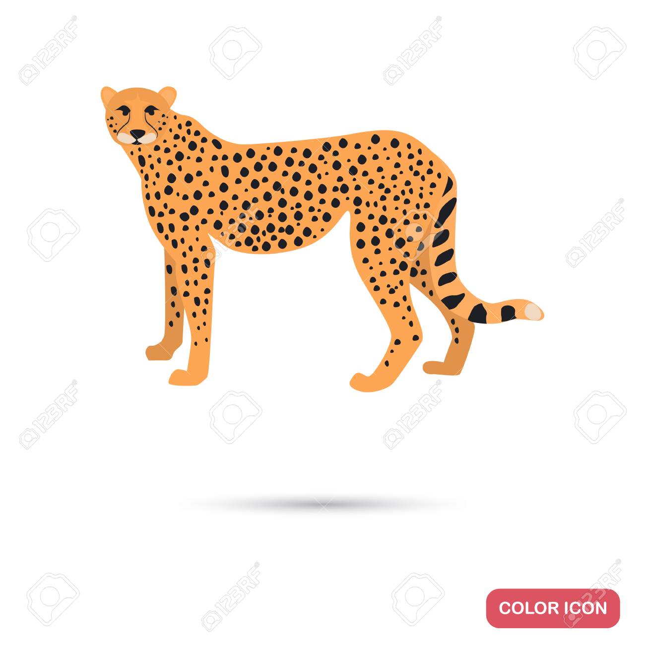 Guepard Color Flat Icon For Web And Mobile Design Royalty Free Cliparts Vectors And Stock Illustration Image Guepard Color Flat Icon For Web And Mobile Design Royalty Free Cliparts Vectors And Stock Illustration Image
