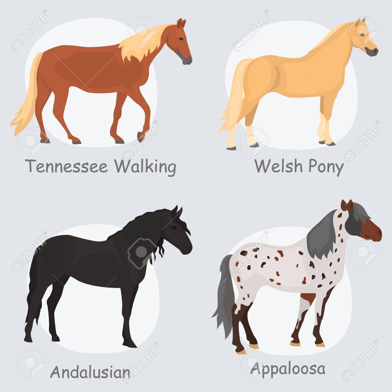 Cheval Races Couleur Plat Icones Definies Clip Art Libres De Droits Vecteurs Et Illustration Image 93283866