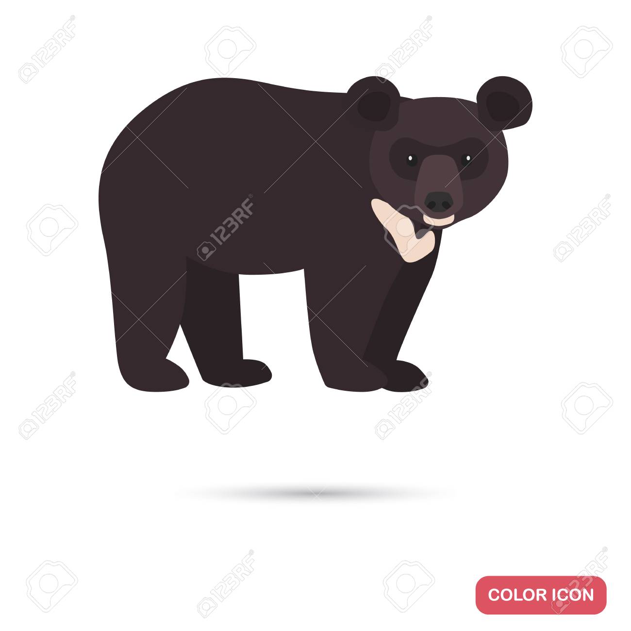 himalayan bear color flat