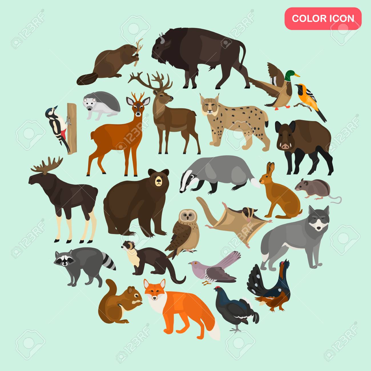 Forest Animals Color Flat Icons Set Royalty Free SVG, Cliparts, Vectors, And Stock Illustration. Image 101156991. Forest Animals Color Flat Icons Set Royalty Free SVG, Cliparts, Vectors, And Stock Illustration. Image 101156991.