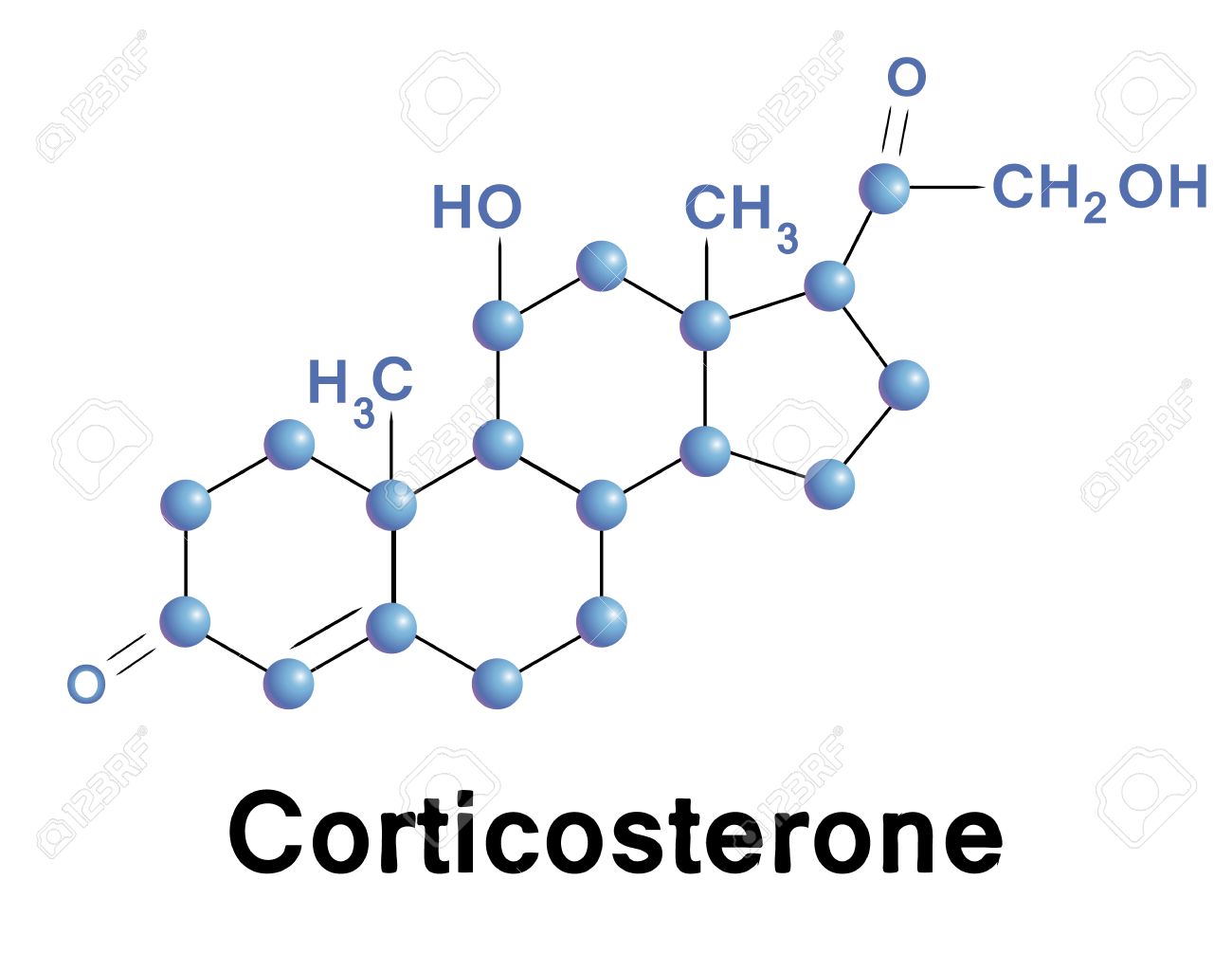 Estructura De La Molécula De Corticosterona, Una Ilustración Vectorial  Médico. Ilustraciones Vectoriales, Clip Art Vectorizado Libre De Derechos.  Image 29303481.