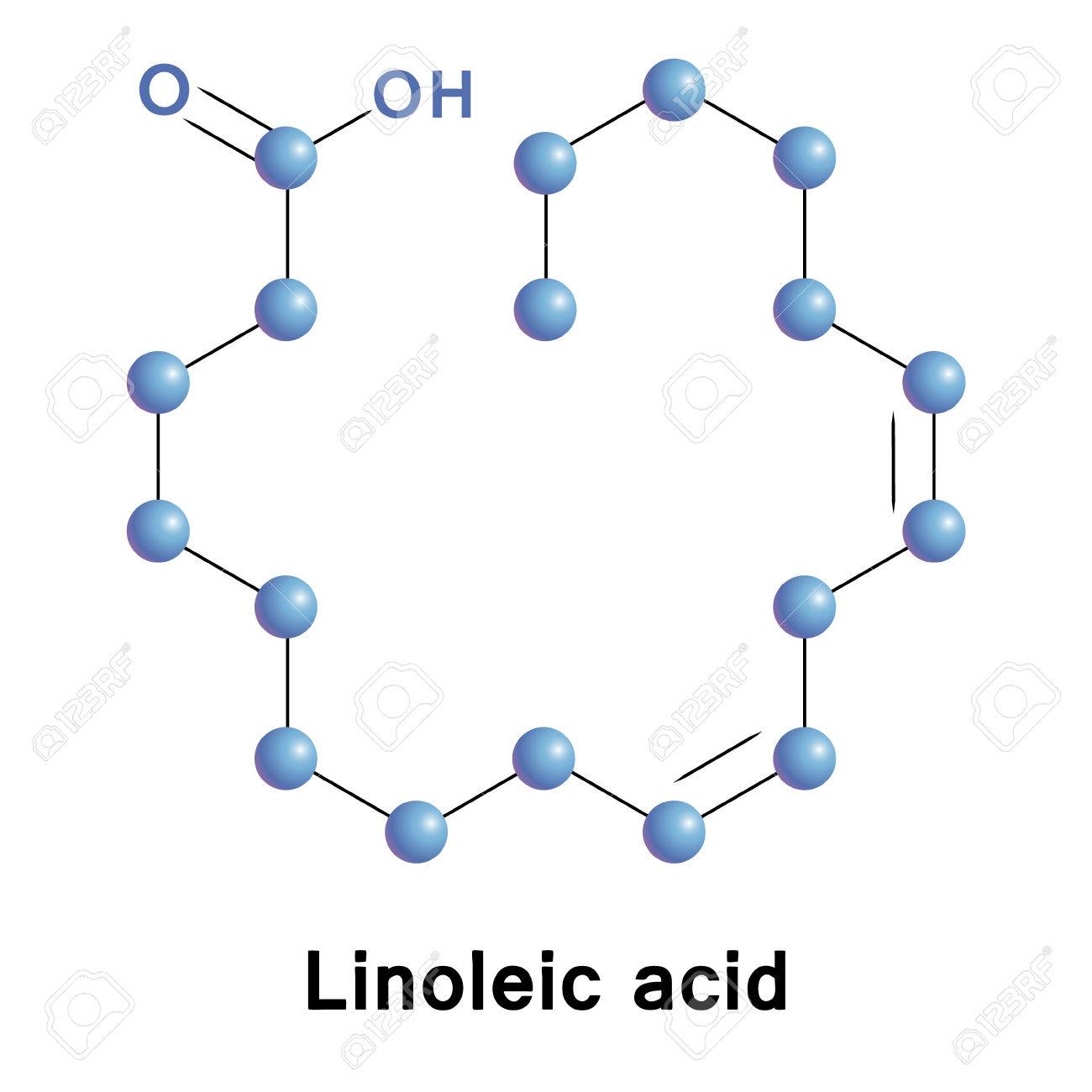リノール酸 のイラスト素材 ベクタ Image