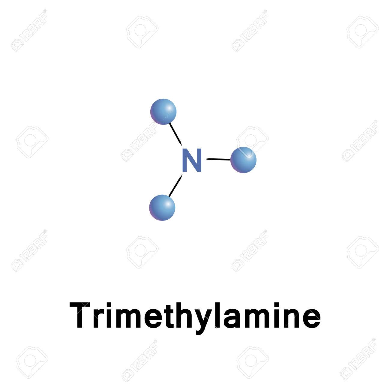 trimethylamine is a nitrogenous base and can be protonated to trimethylammonium