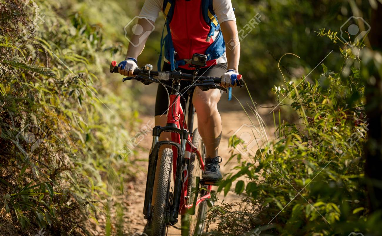 trailbiker