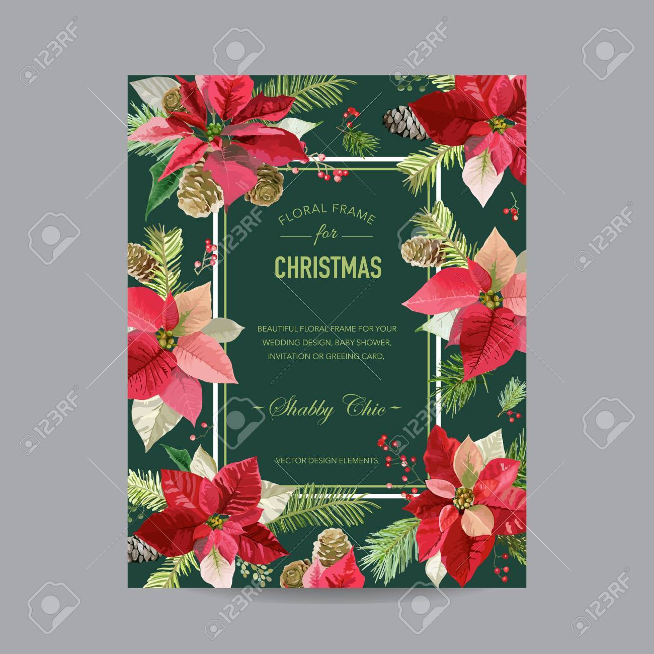 vintage poinsettia christmas card winter background poinsettia card