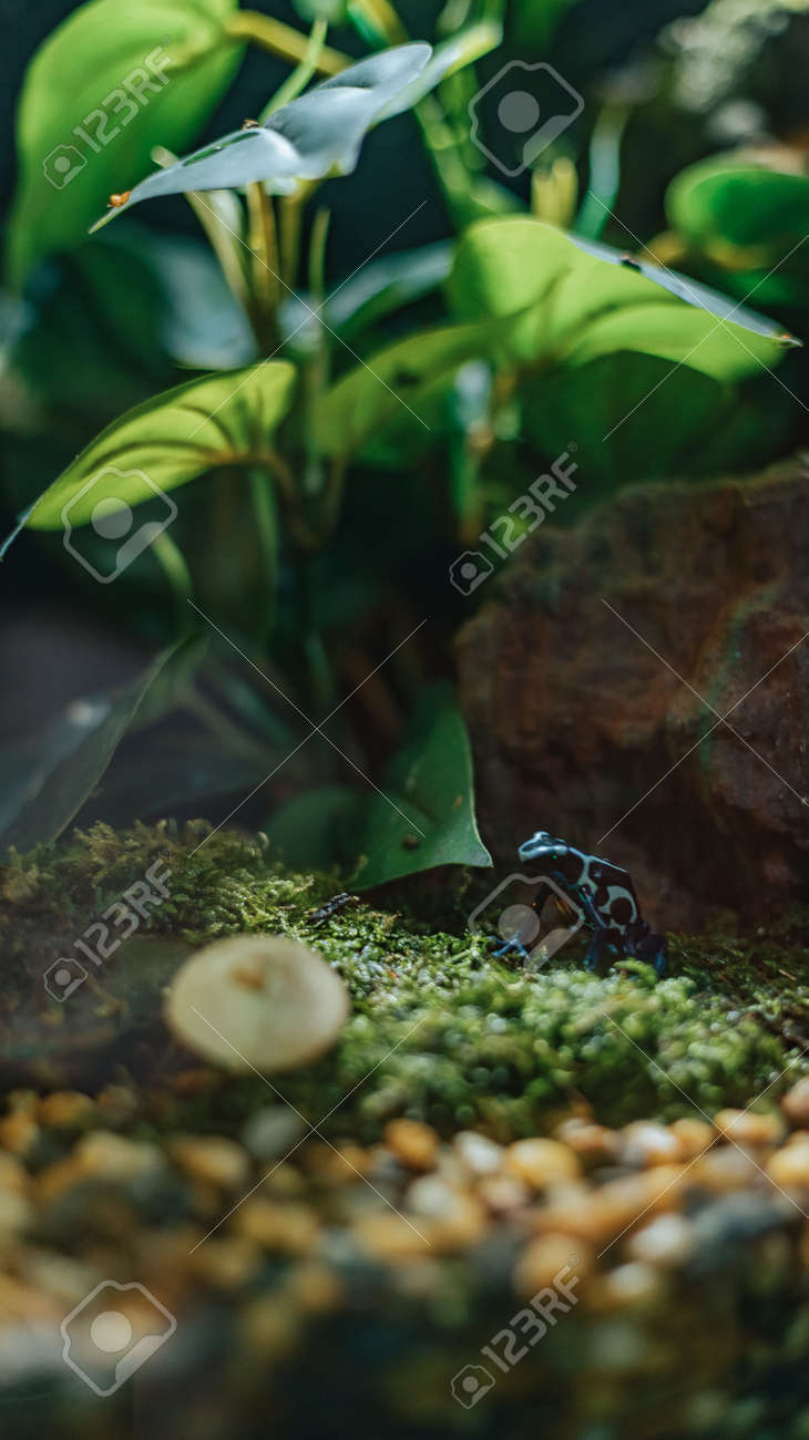 etiam-dictum-ipsum-a-felis