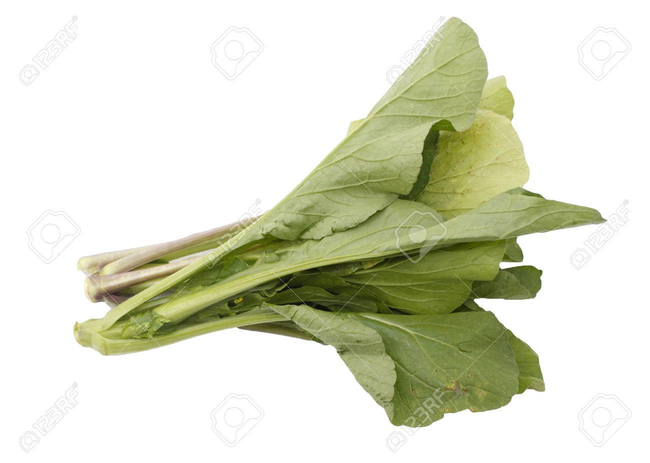 マスタード グリーン野菜な白で隔離されます の写真素材 画像素材 Image