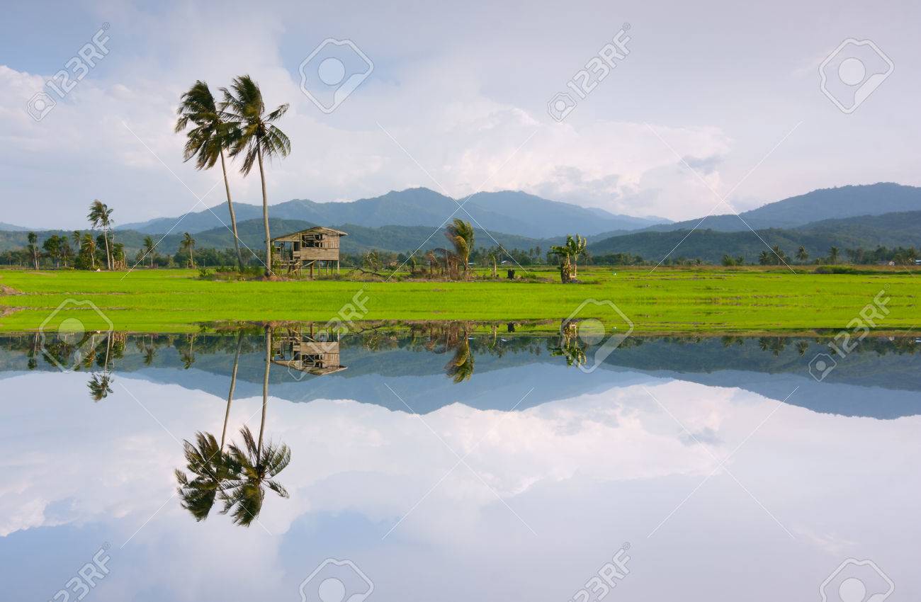 コタ Marudu サバ州 東マレーシア ボルネオ島の農村風景の反射 の写真素材 画像素材 Image