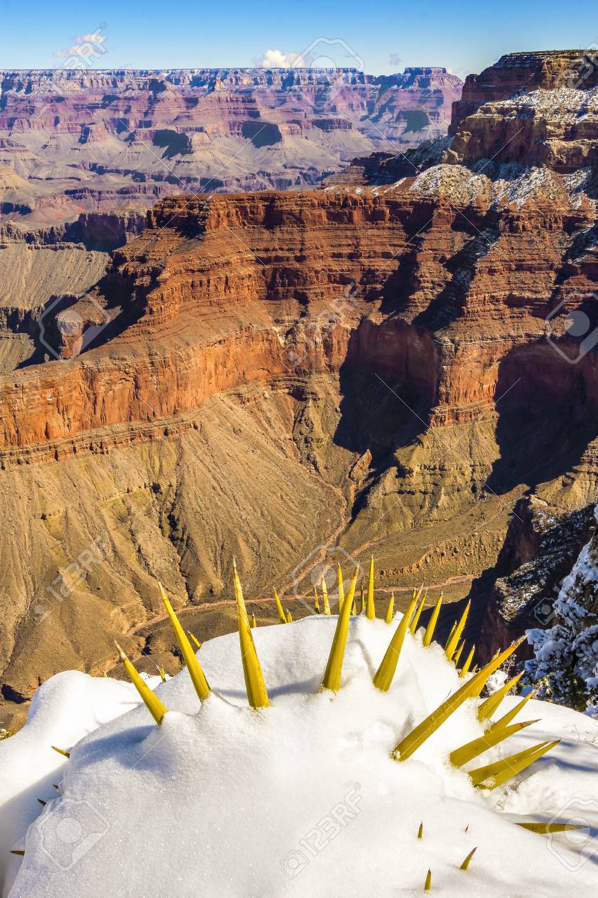 冬 アメリカのグランドキャニオン の写真素材 画像素材 Image