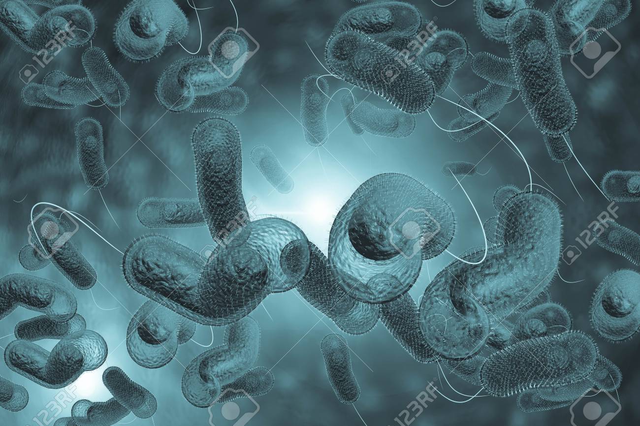 Холерный вибрион это бактерия. Вимбрионыбактерии 5 класс биология. Вибрион коха. Роберт кох холерный вибрион. Болезнетворные бактерии холерный вибрион.