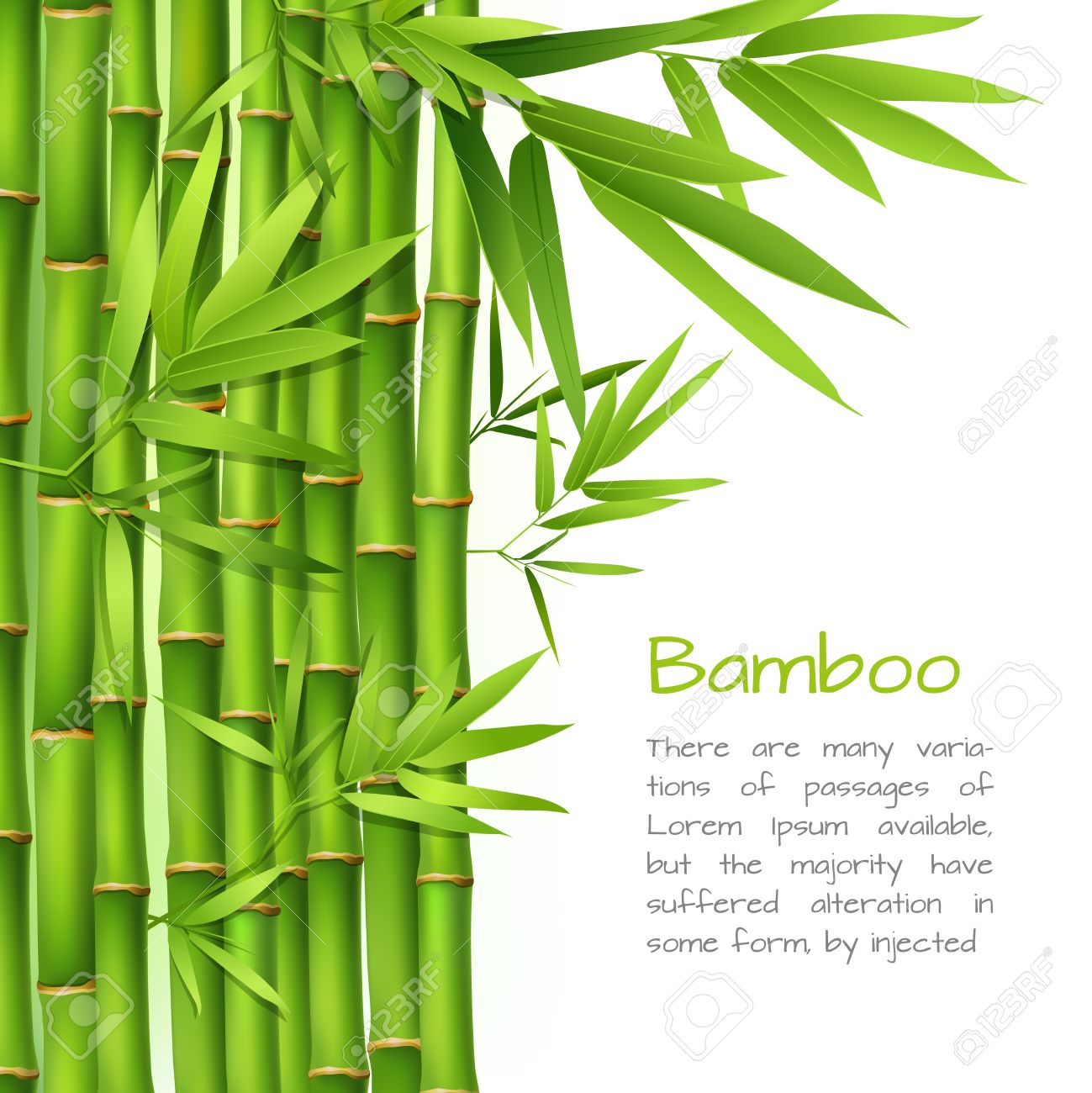 realistic green bamboo plant grass tree oriental japanese background