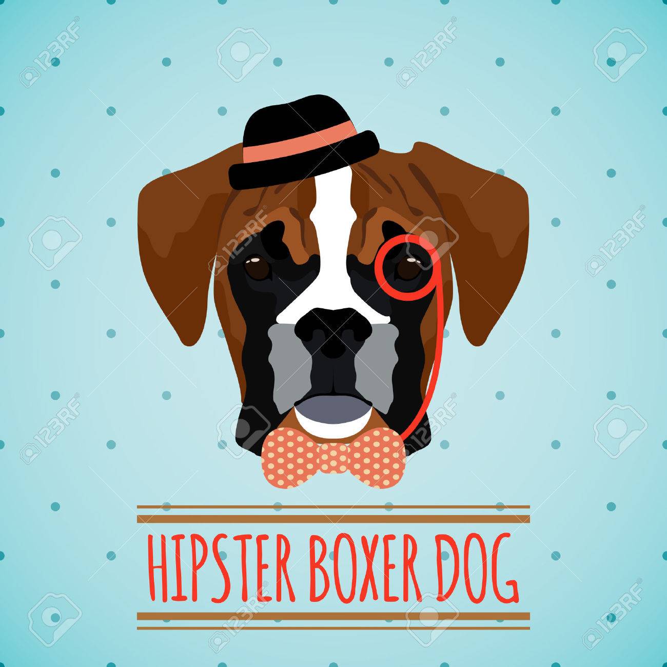 boxer dog with hat
