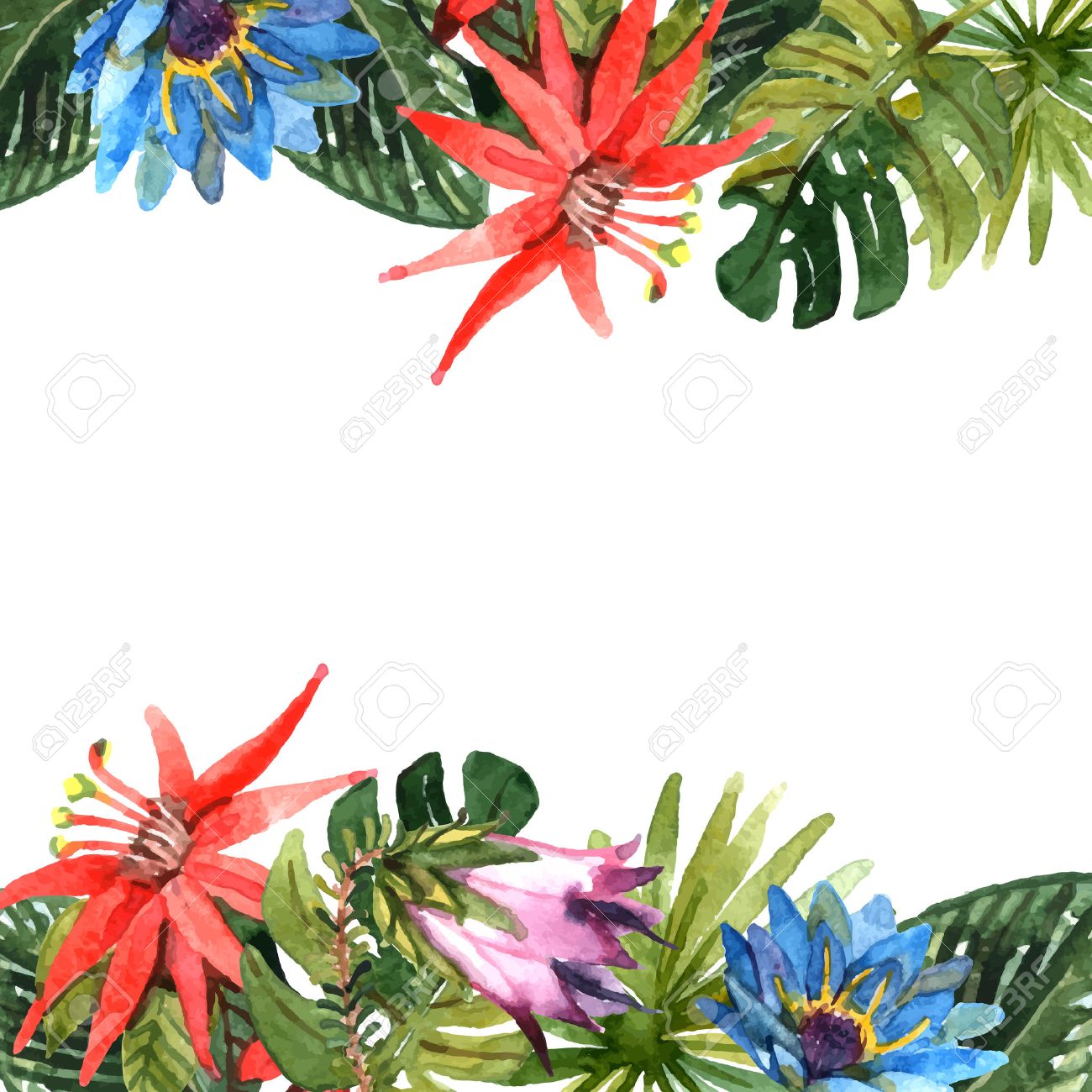 Feuilles Et Fleurs Tropicales Exotiques Branches Illustration Vectorielle Aquarelle Frontiere Clip Art Libres De Droits Vecteurs Et Illustration Image