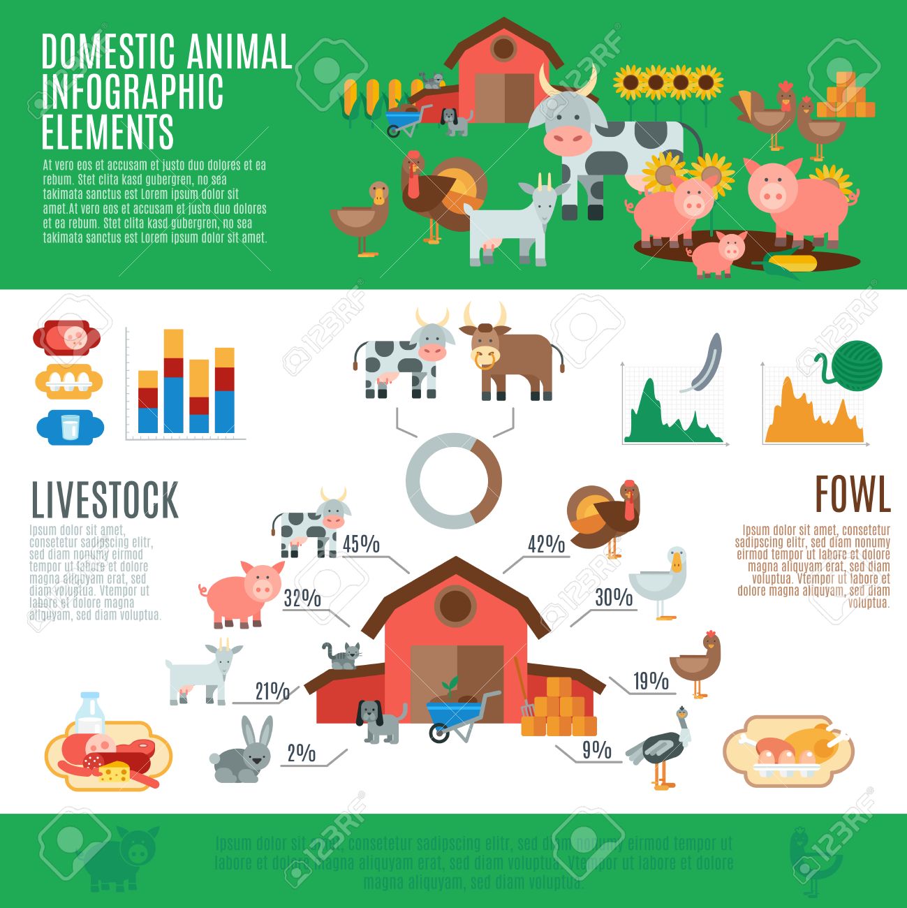 domestic animals infographics set with livestock elements and live stock charts
