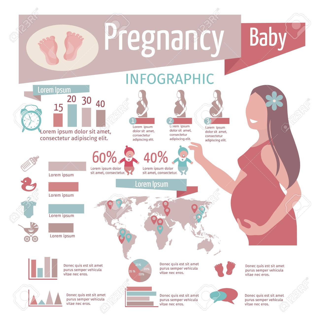 pregnancy charts