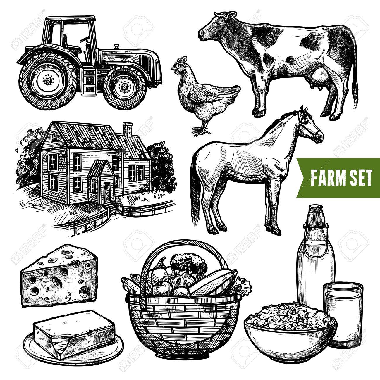 Black And White Organic Farm Set With Healthy Food Farm Animals