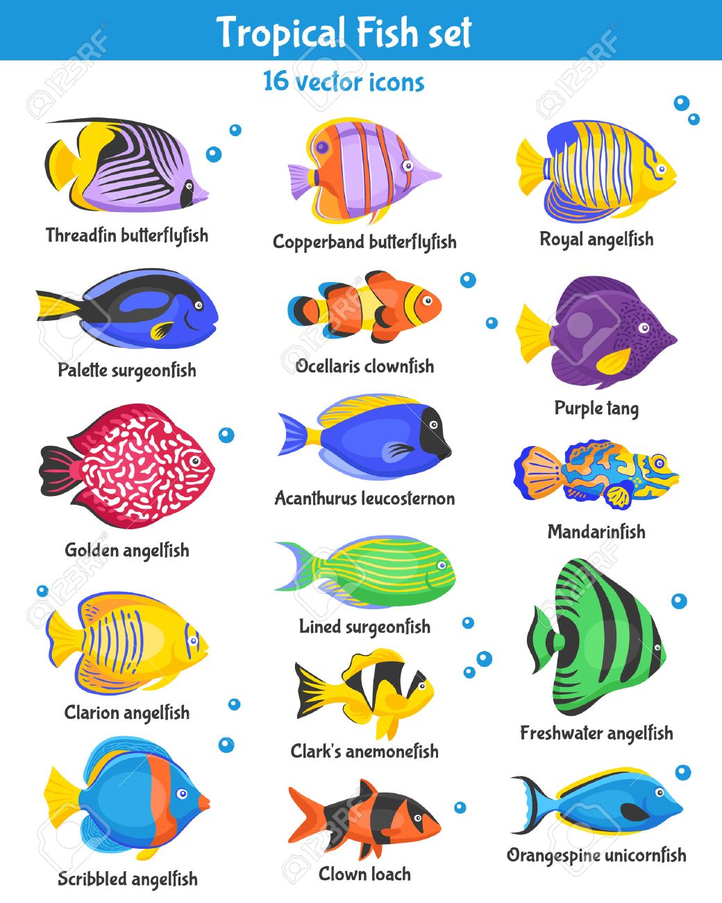 little dogs big hearts rescue