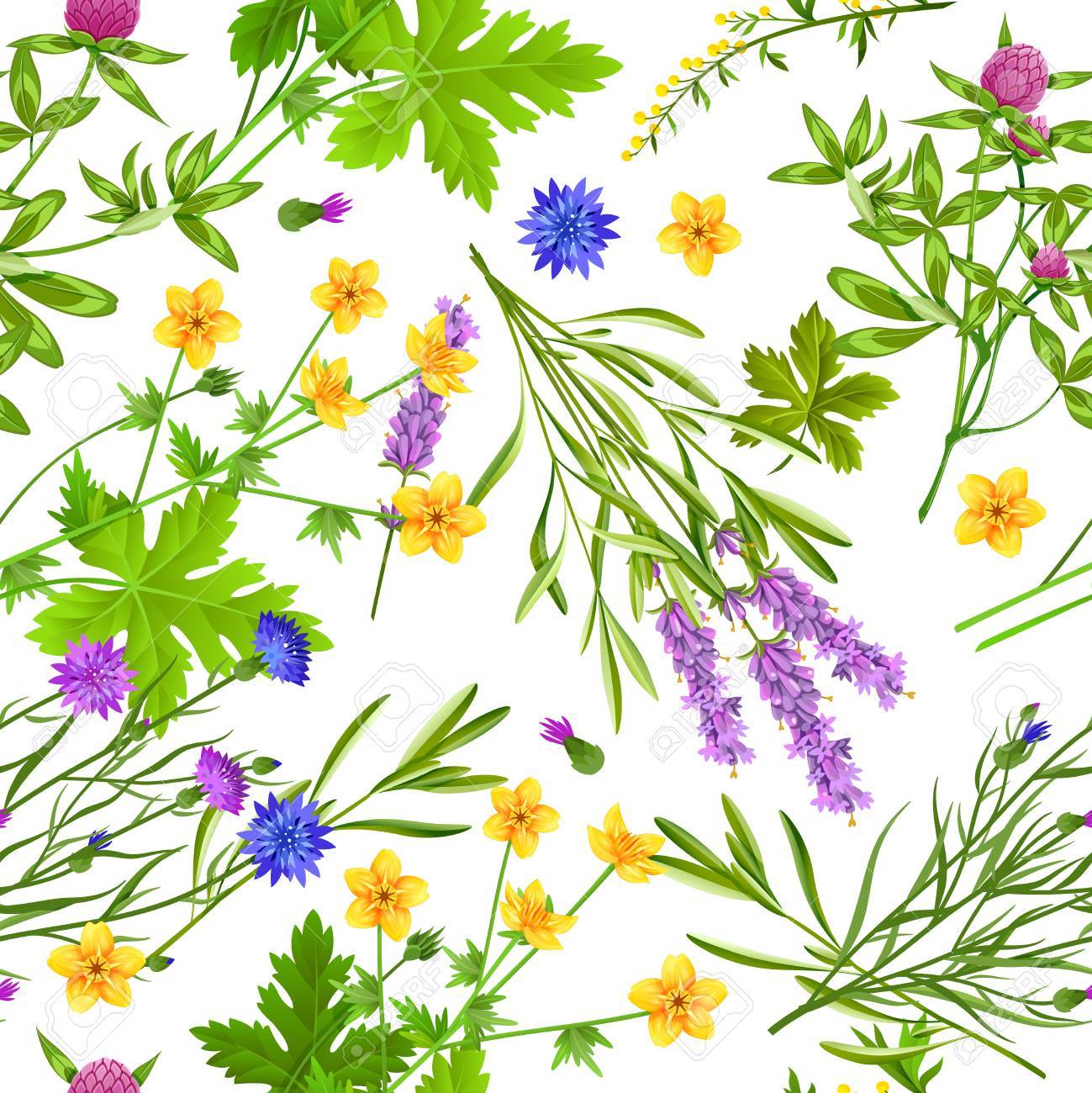 Flache Nahtlose Muster Mit Bluhenden Krautern Und Wilden Blumen Wie Hahnenfuss Kornblume Lavendel Und Klee Auf Weissem Hintergrund Vektor Illustration Lizenzfrei Nutzbare Vektorgrafiken Clip Arts Illustrationen Image 65127646