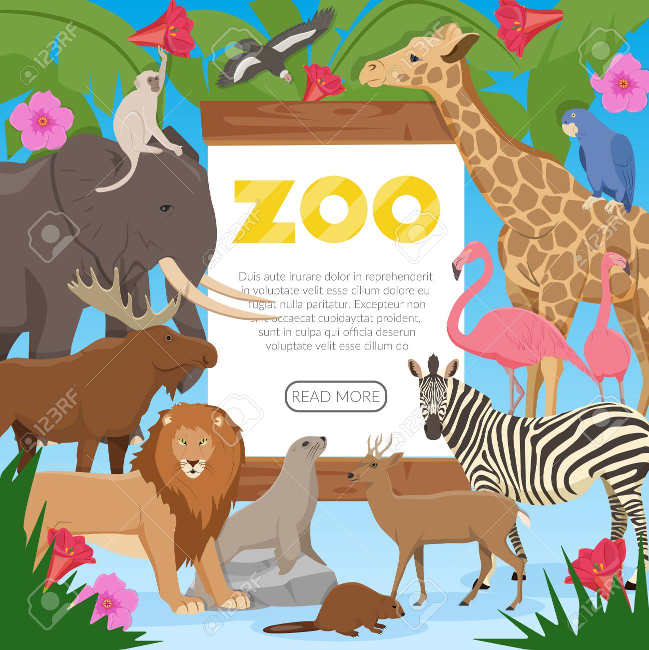 zoo poster with cartoon collection of exotic wild animals