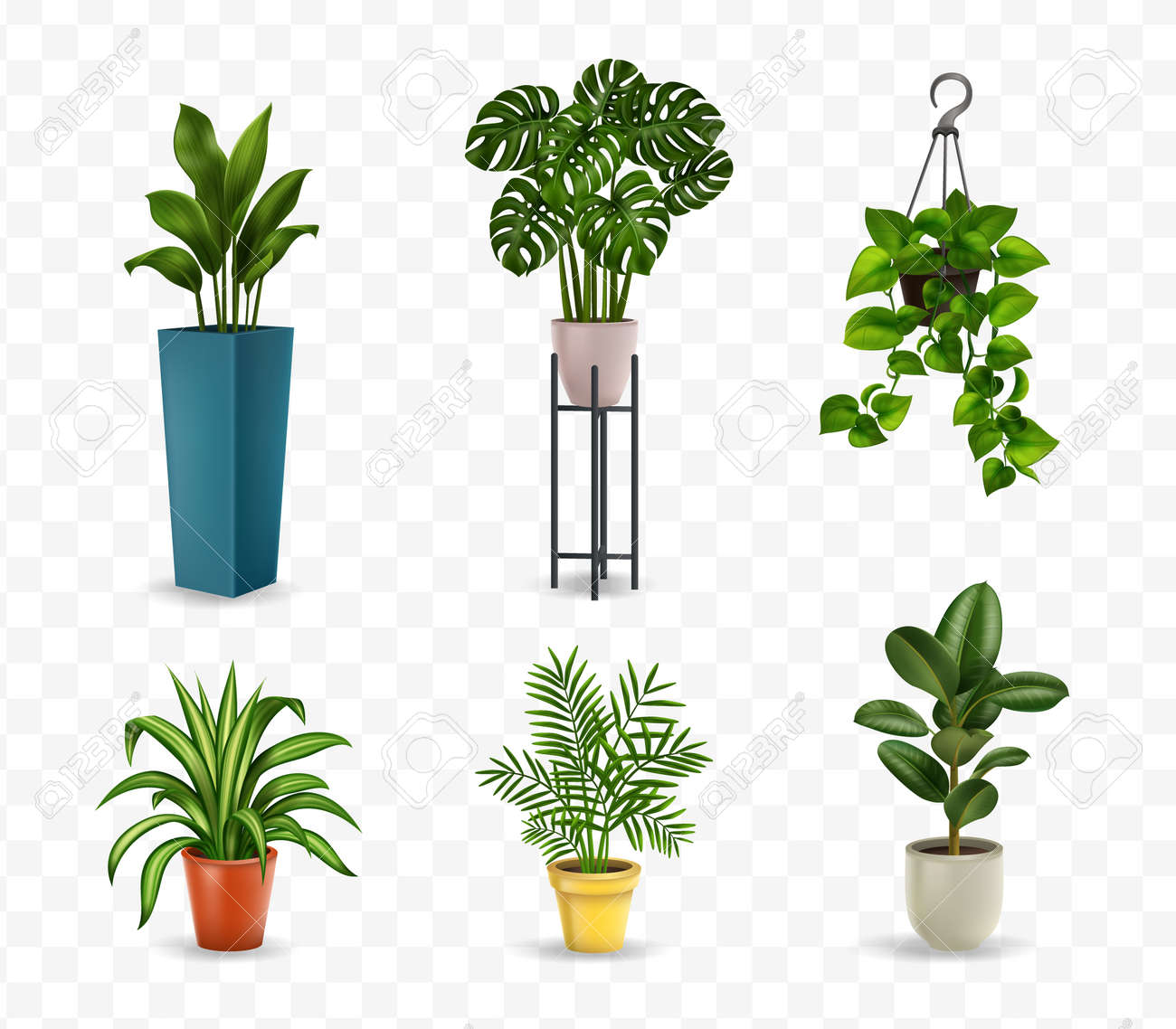 Realistic House Plants Royalty Free SVG, Cliparts, Vectors, and Stock  Illustration. Image 175805256.