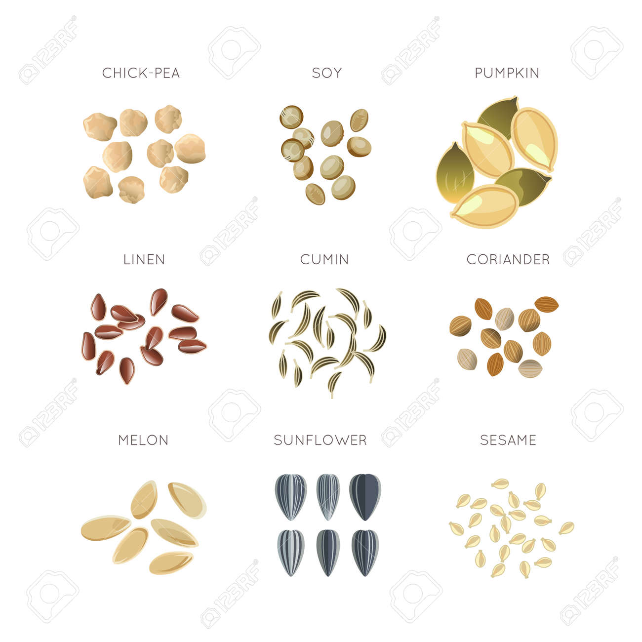 Cereal grains flat vector icons set. Chick-pea and linen, cumin and coriander, melon and sesame illustration - 166718827 Cereal grains flat vector icons set. Chick-pea and linen, cumin and coriander, melon and sesame illustration - 166718827