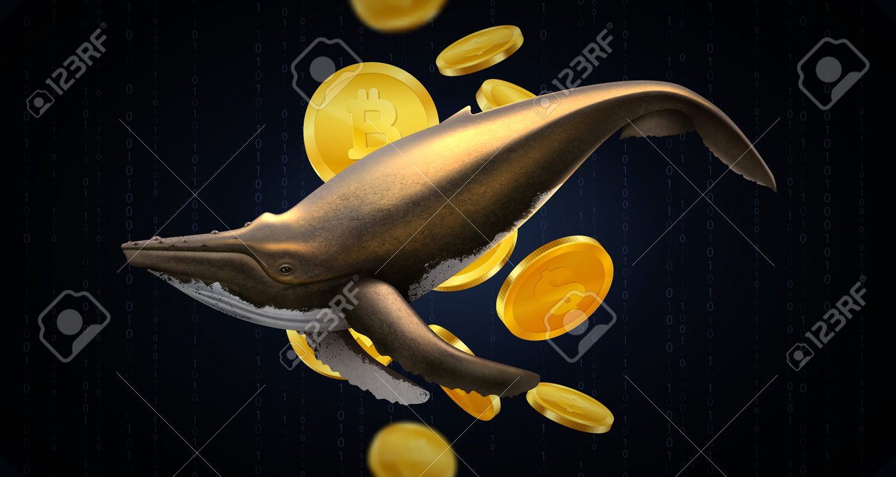 抽象的な黒い背景に金のクジラとビットコインを大金のプレーヤーのリアルなベクターイラストの比喩としてのイラスト素材・ベクター Image  198113135
