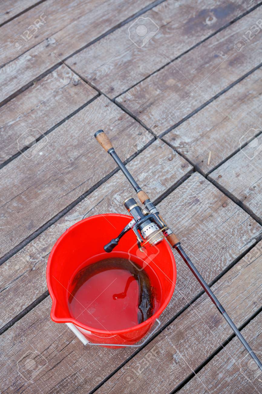 pike spinning rod and reel