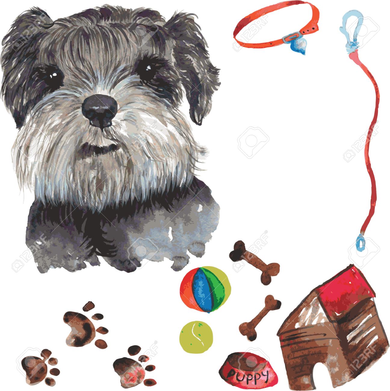 schnauzer accessories