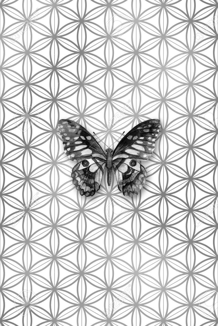 Niveaux De Gris Aquarelle Papillon Sur Une Fleur De Modèle De Vie Symbole De La Géométrie Sacrée Dessins Spirituels Affiche Carte Affiche Trendy