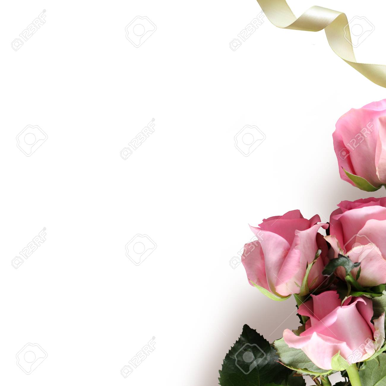 Download Pink Roses And Ribbon On The White Background Product Mockup Stock Photo Picture And Royalty Free Image Image 59699152 PSD Mockup Templates