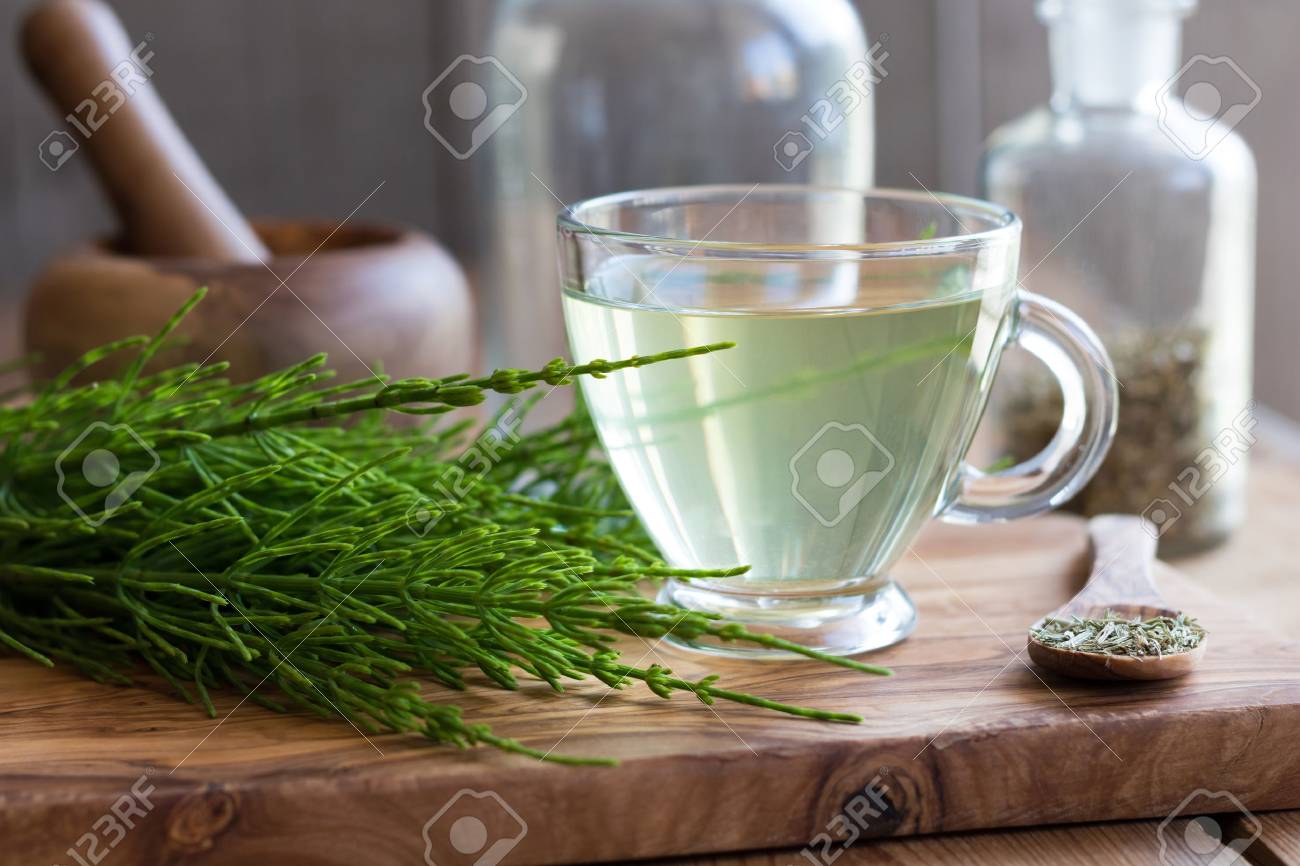 Una Taza De Te De Cola De Caballo Con La Planta De Cola De Caballo