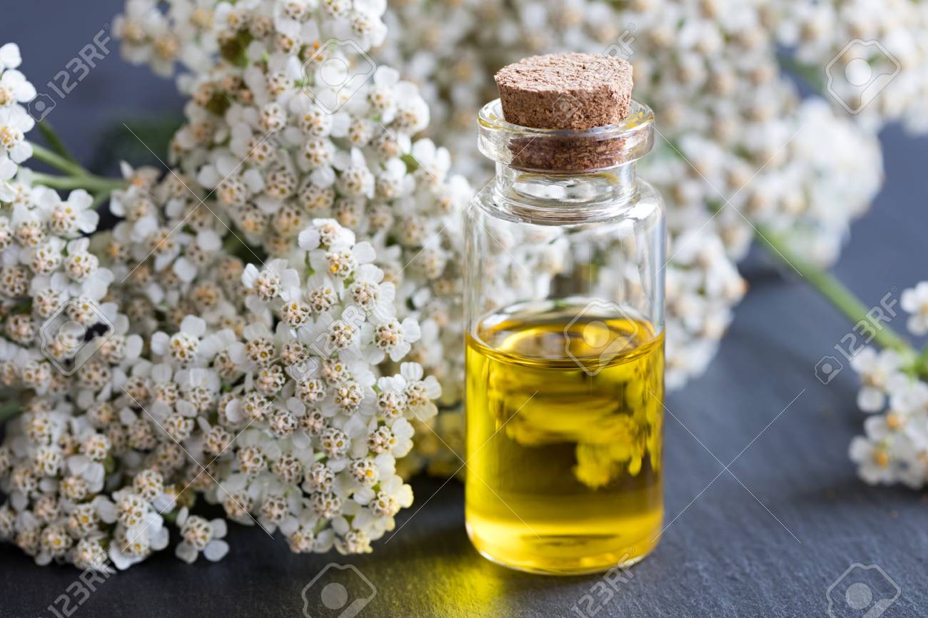 A bottle of essential oil with fresh yarrow flowers on a dark background - 81858302 A bottle of essential oil with fresh yarrow flowers on a dark background - 81858302