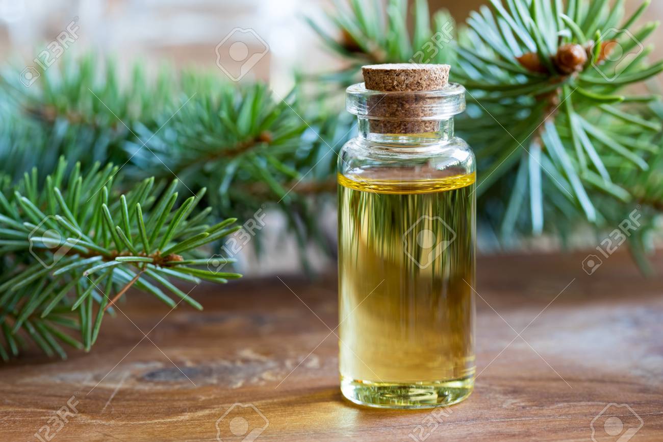 A bottle of spruce essential oil with fresh spruce twigs - 86865970 A bottle of spruce essential oil with fresh spruce twigs - 86865970