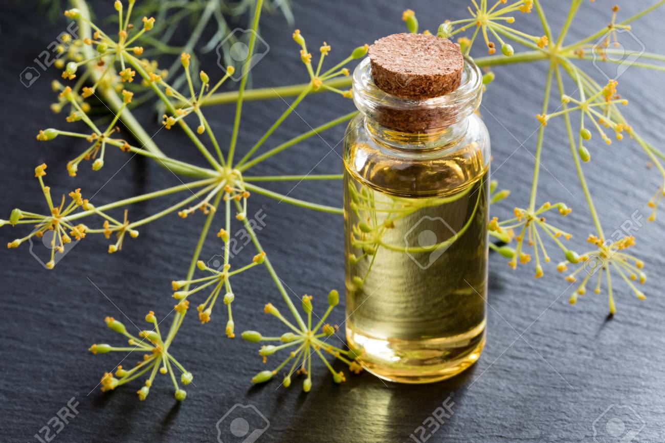 A bottle of dill seed oil with fresh dill in the background - 87978431 A bottle of dill seed oil with fresh dill in the background - 87978431