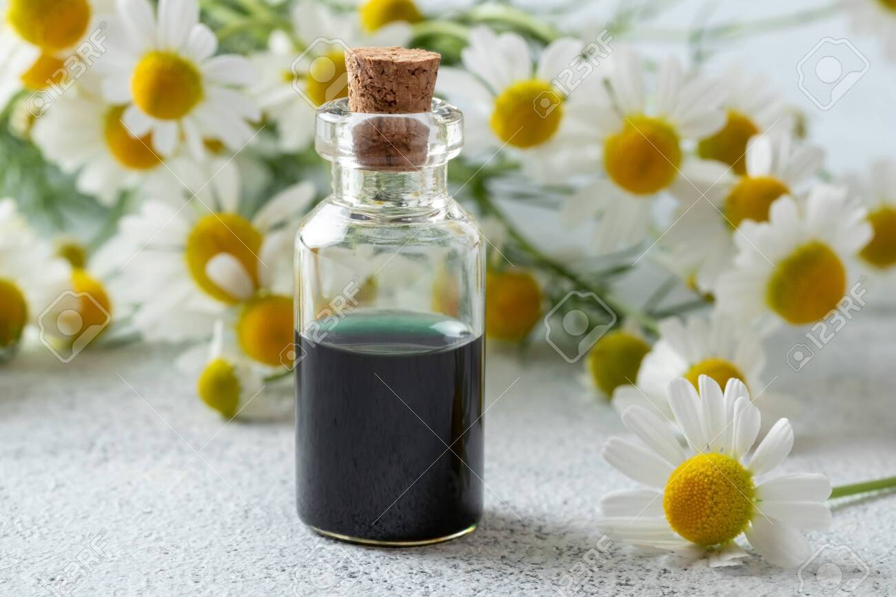 A Bottle Of Dark Blue German Chamomile Essential Oil And Fresh Stock Photo Picture And Royalty Free Image Image 126404801
