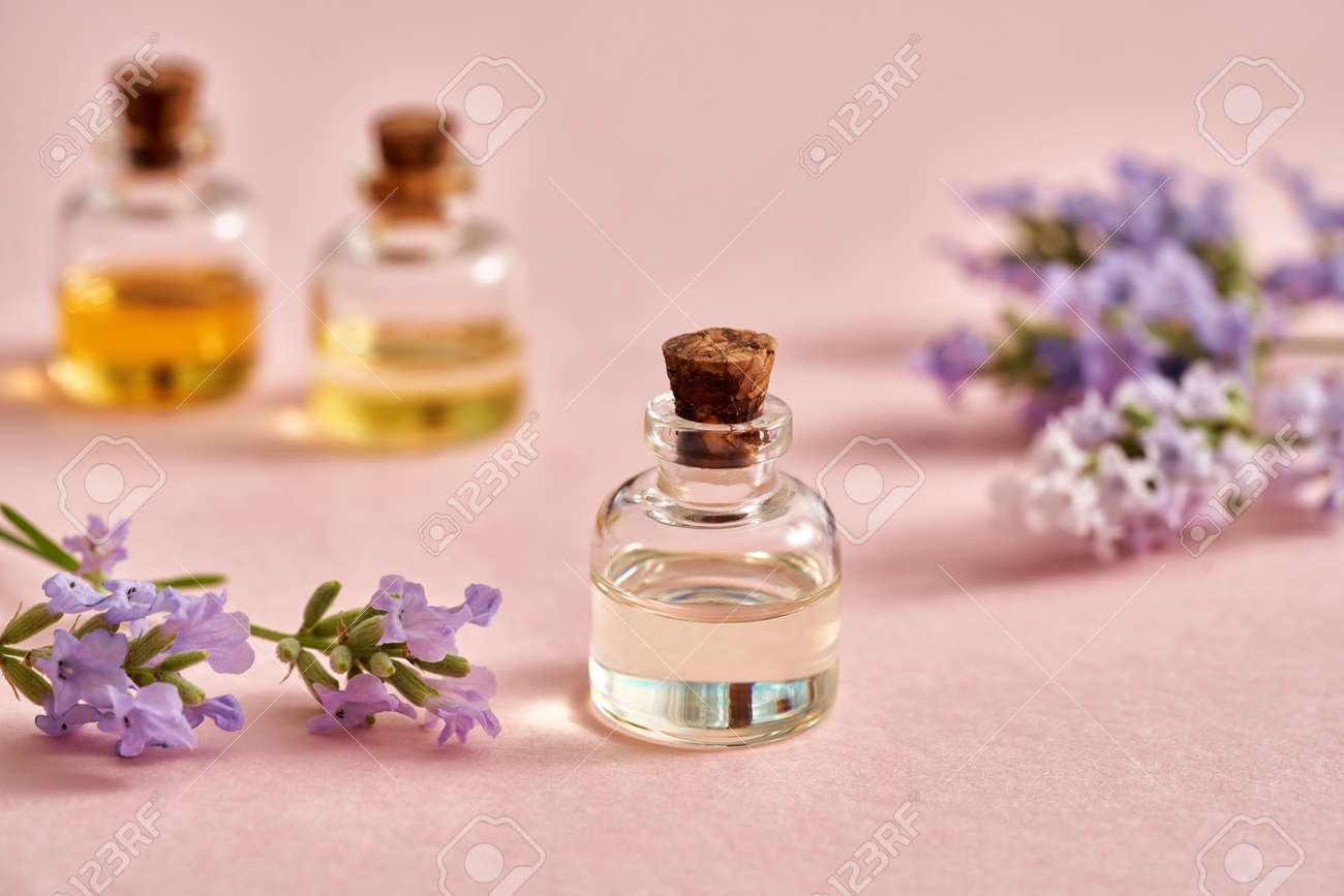 A bottle of essential oil with fresh blooming lavender on pastel pink background. Aromatherapy or alternative medicine concept. - 169337996 A bottle of essential oil with fresh blooming lavender on pastel pink background. Aromatherapy or alternative medicine concept. - 169337996