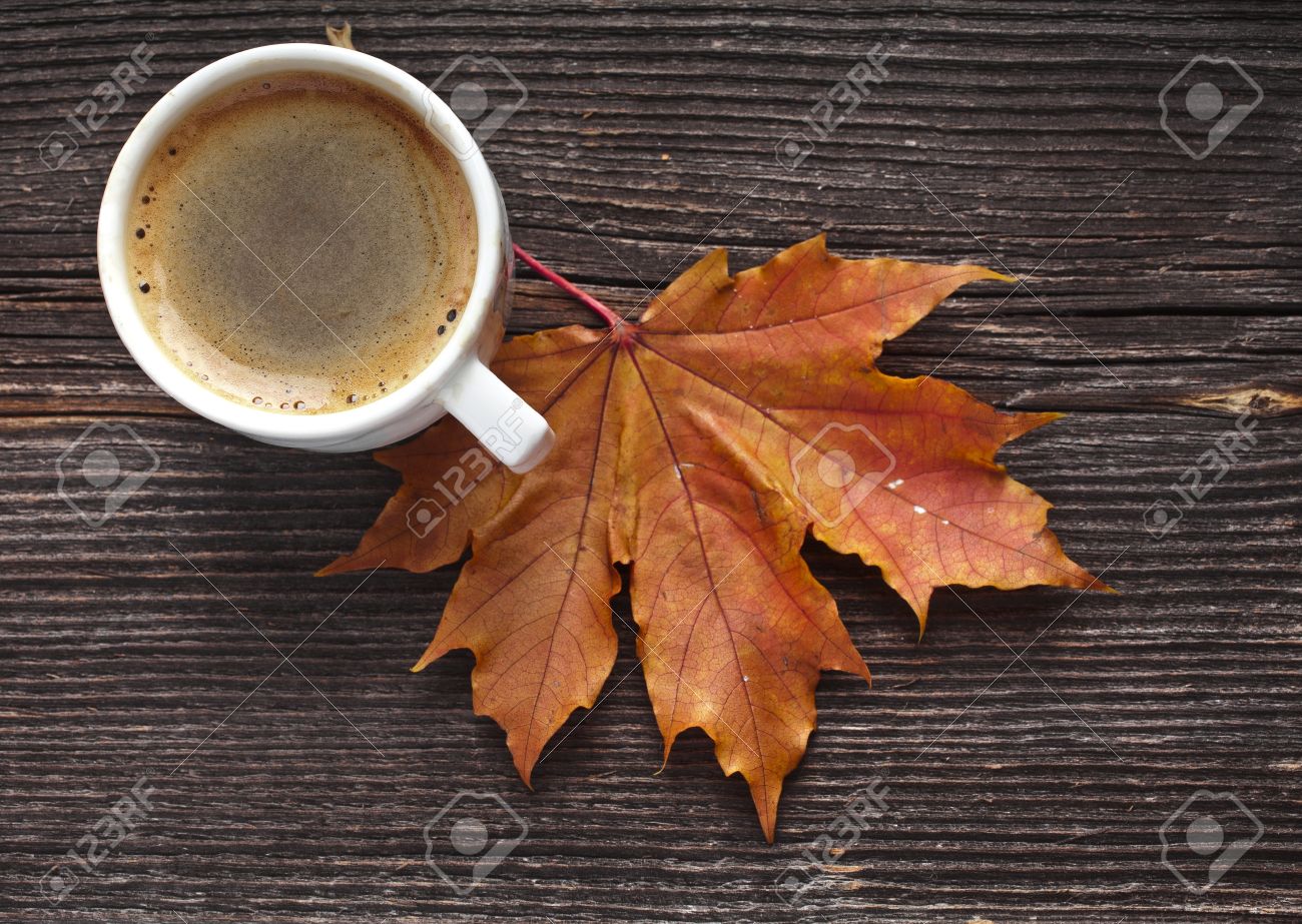 Fall Coffee Photography Fall Coffee Photography