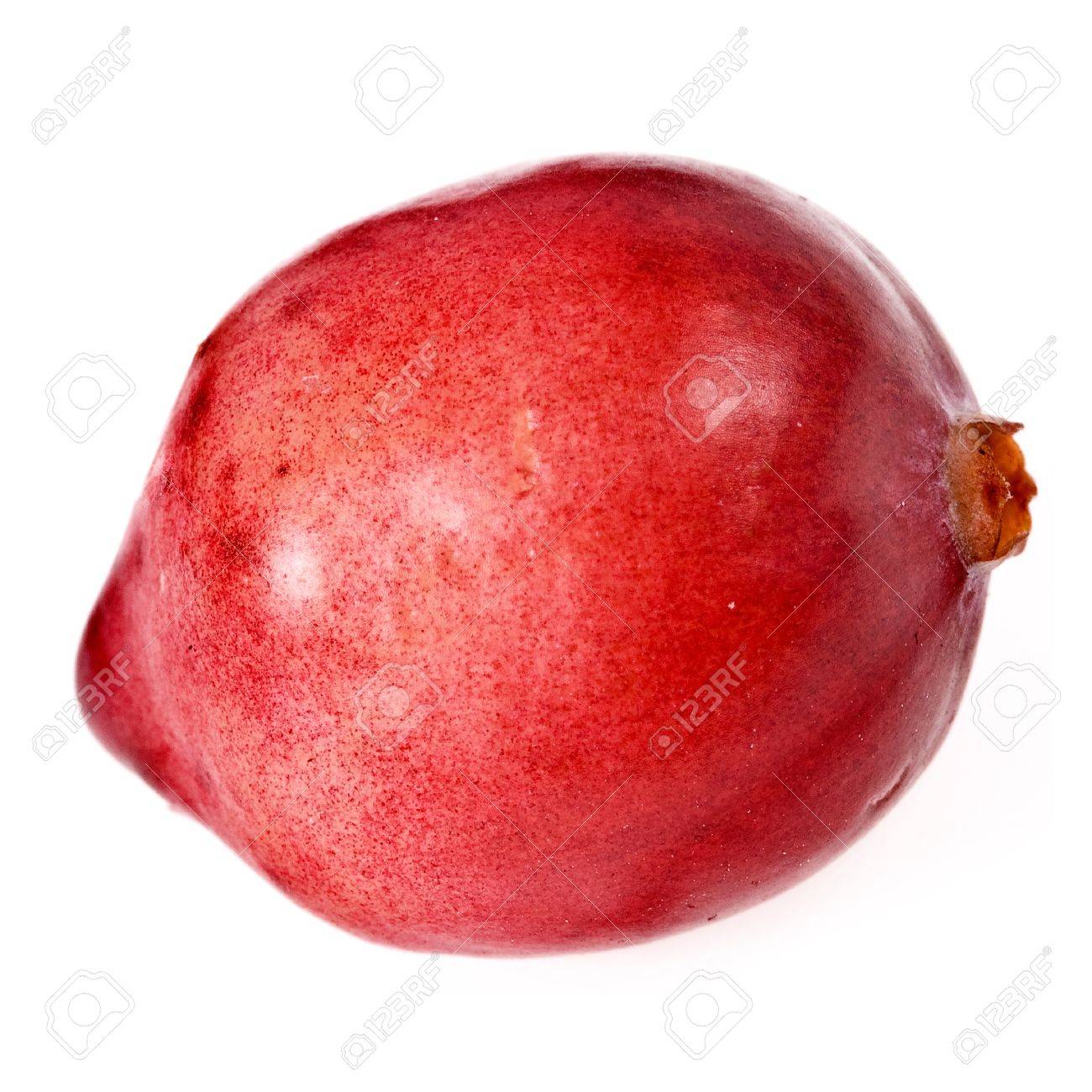 Ripe Single One Big Cranberry Close Up Macro Shot Isolated On White  Background Stock Photo, Picture and Royalty Free Image. Image 19496813.