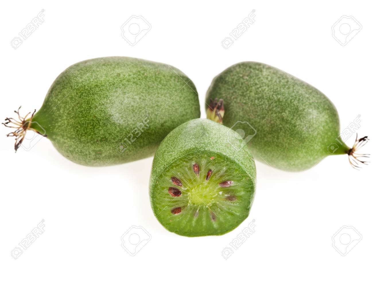 Mini Kiwi Baby Fruit Actinidia Arguta Isolated On The White Background Stock Photo Picture And Royalty Free Image Image Mini Kiwi Baby Fruit Actinidia Arguta Isolated On The White Background Stock Photo Picture And Royalty Free Image Image