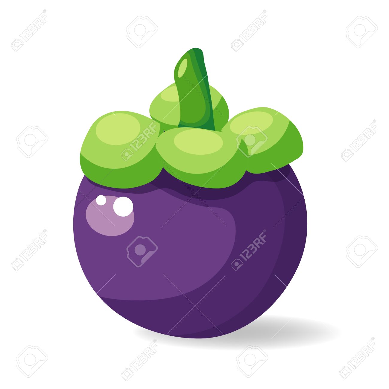 マンゴスチン フルーツ イラスト ベクトル分離のイラスト素材 ベクタ Image