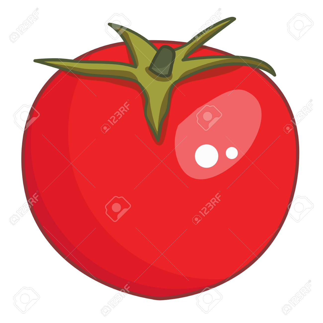 白い背景の上の分離されたトマト イラストのイラスト素材 ベクタ Image