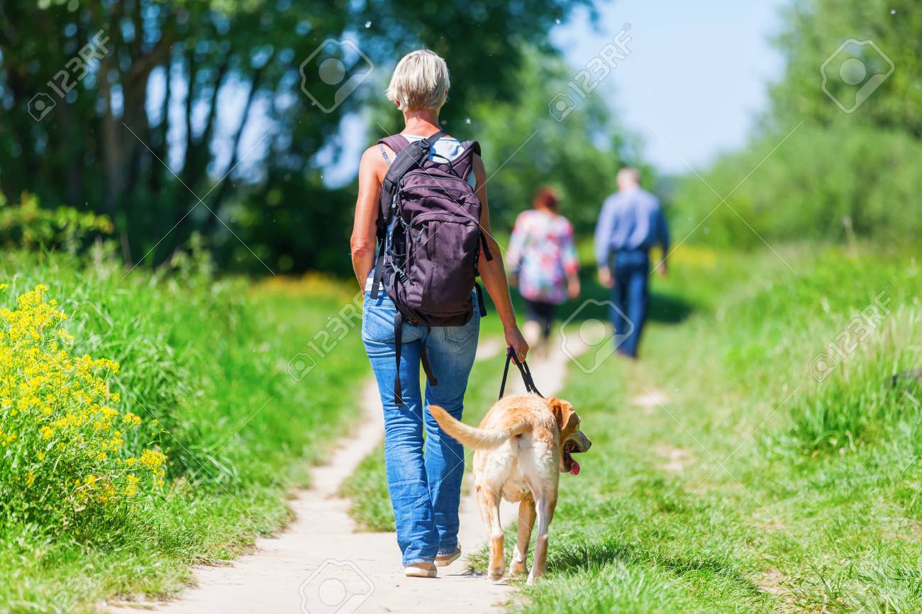 labrador hiking