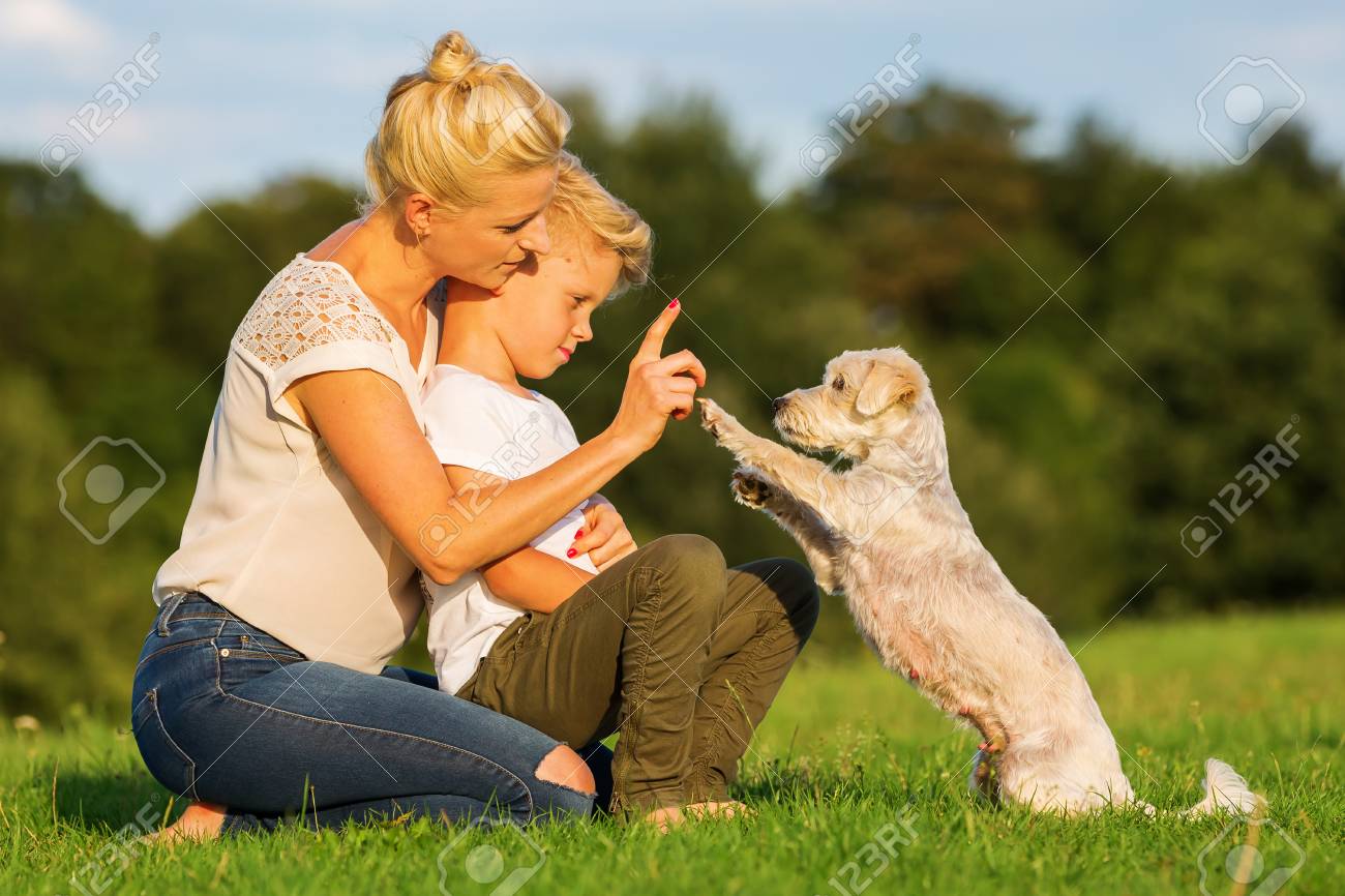 Picture Of A Mother With Her Son Playing With A Small Dog Outdoors Stock Photo Picture And Royalty Free Image Image 84973111
