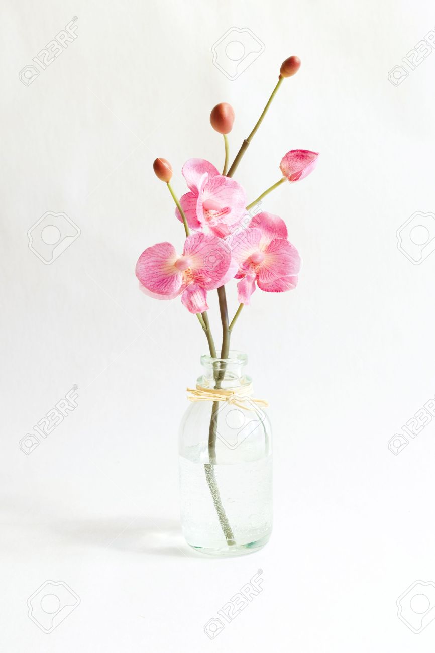 Pink Orchid In Vase Stock Photo Picture And Royalty Free Image