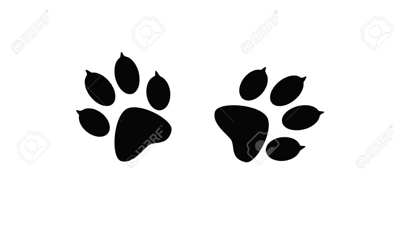 pawprints web print