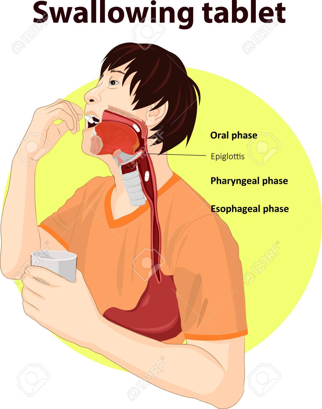 嚥下タブレットのベクトル イラスト のイラスト素材 ベクタ Image
