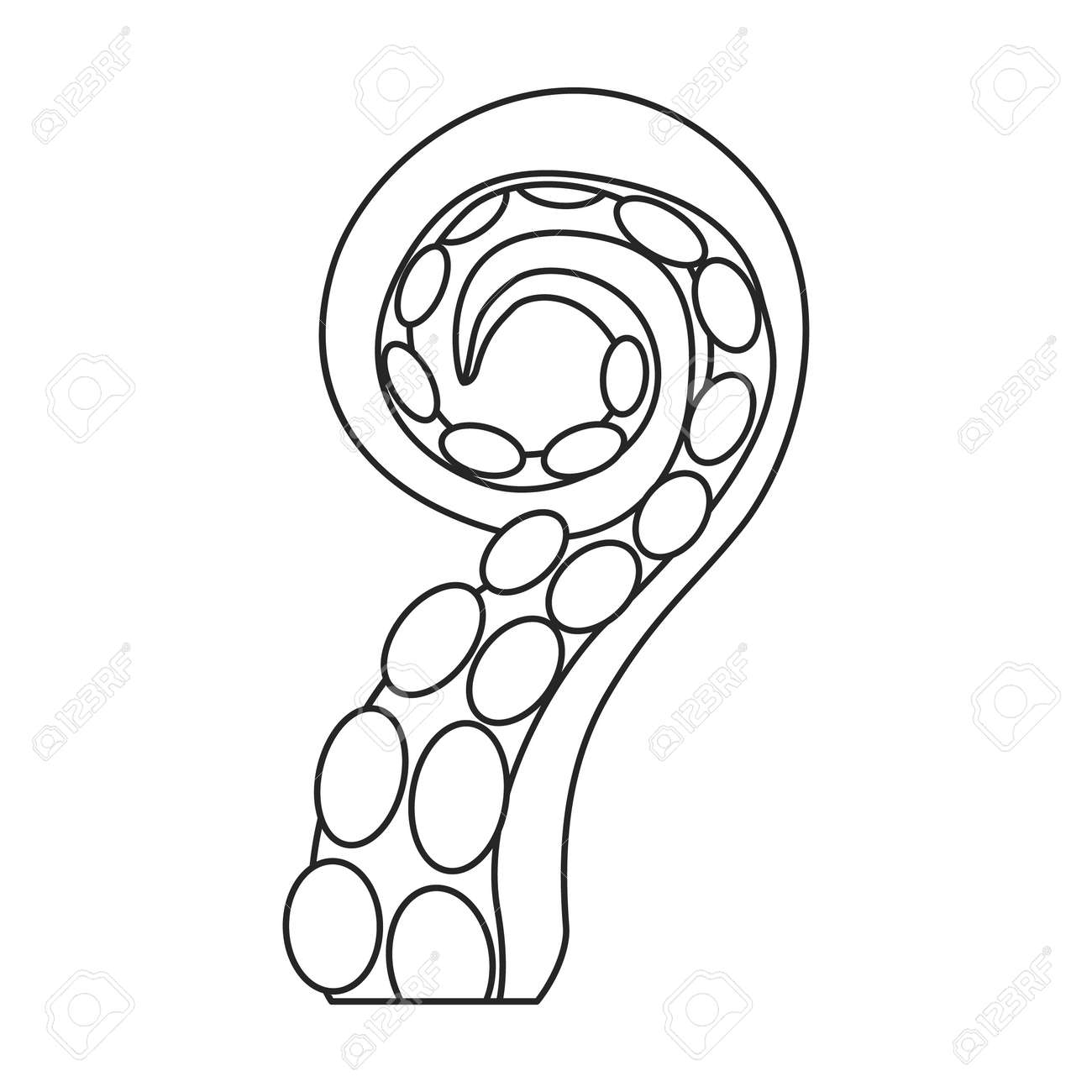 Octopus tentacle vector outline icon. Vector illustration seafood on white background. Isolated outline illustration icon of octopus tentacle. - 167978031 Octopus tentacle vector outline icon. Vector illustration seafood on white background. Isolated outline illustration icon of octopus tentacle. - 167978031