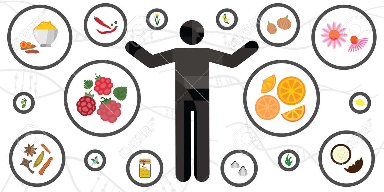 vector illustration of human body and natural immunity boosting plants - 169022790 vector illustration of human body and natural immunity boosting plants - 169022790
