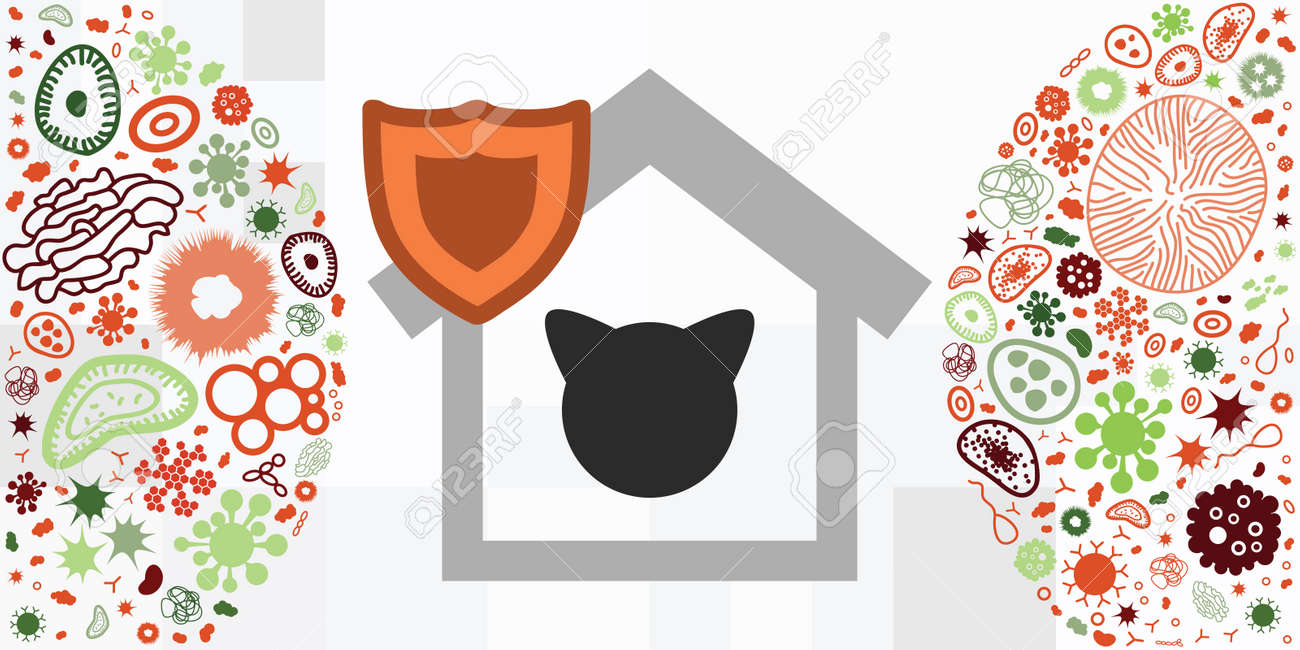 vector illustration of cat and home symbols for pets protection from viruses - 169022823 vector illustration of cat and home symbols for pets protection from viruses - 169022823