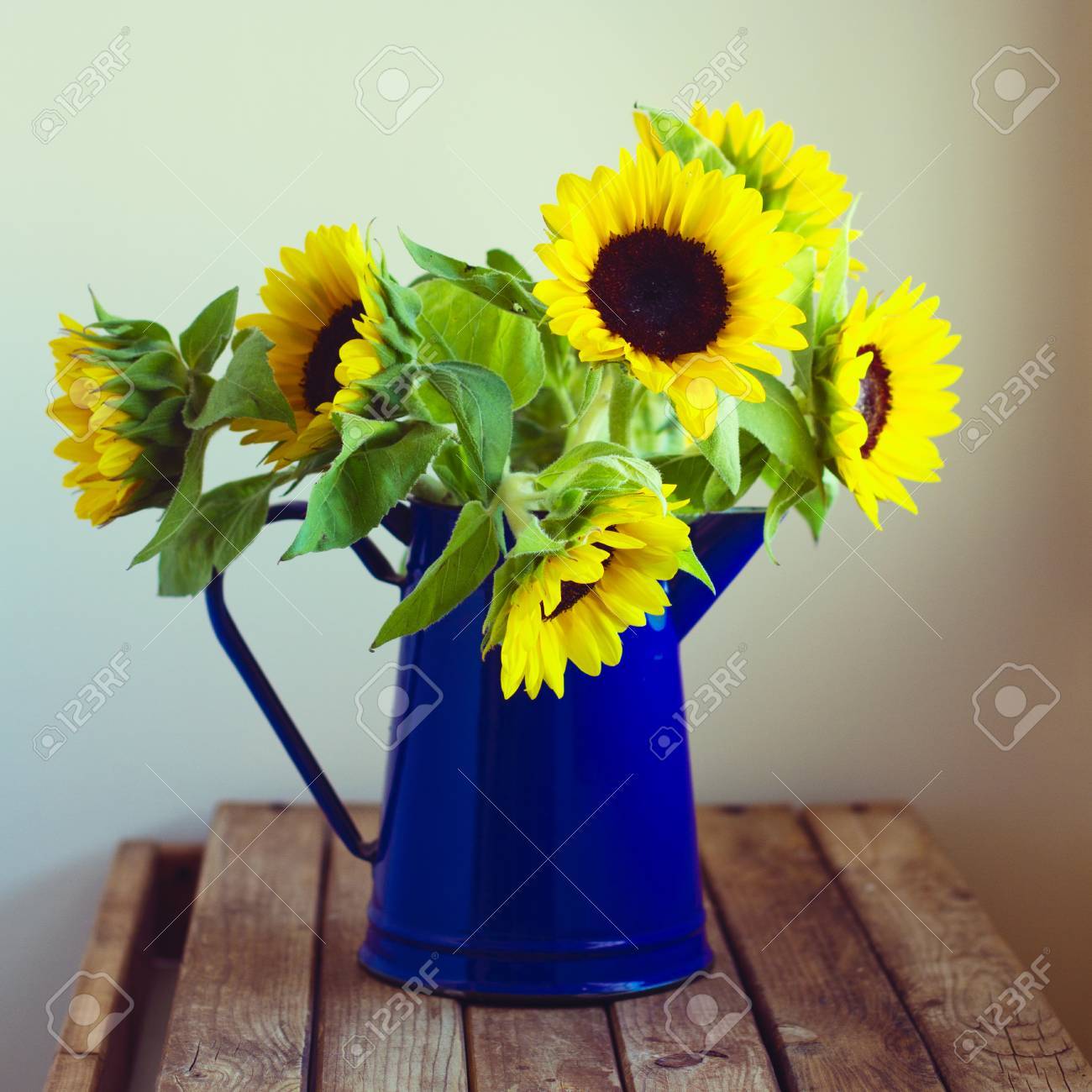 エナメル質の木製卓上型の水差しで美しいひまわり花束 の写真素材 画像素材 Image